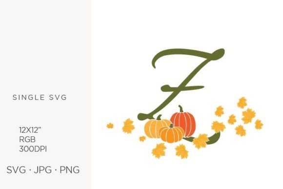 Z Letter, Autumn Leaves and Pumpkin: A Practical Review of Vector Clipart Assets